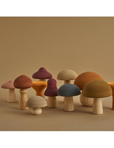 Paddenstoelen set