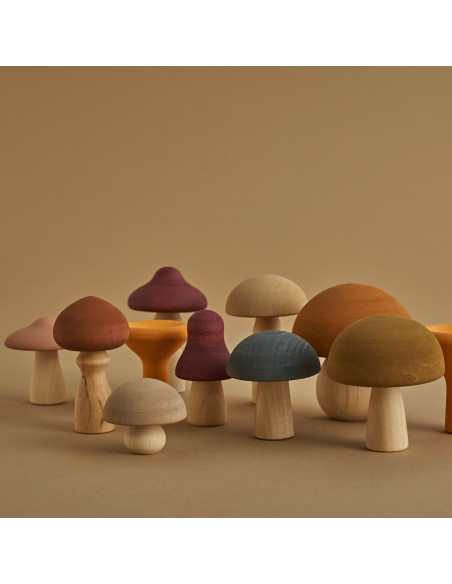 Paddenstoelen set