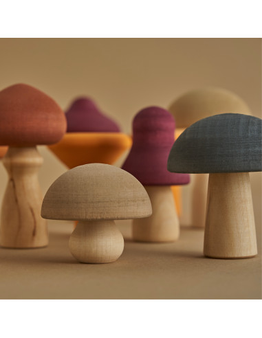 Paddenstoelen set