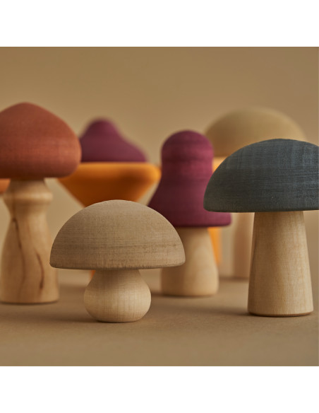 Paddenstoelen set