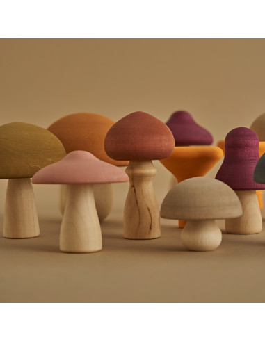 Paddenstoelen set