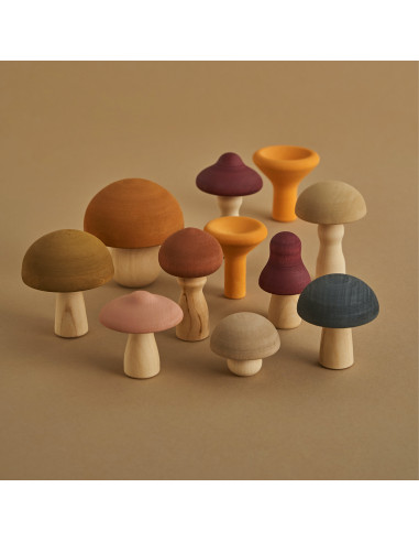 Paddenstoelen set