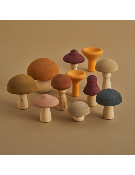 Paddenstoelen set