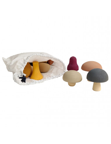 Paddenstoelen set