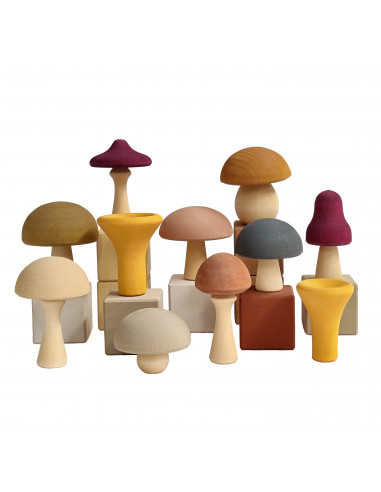 Paddenstoelen set