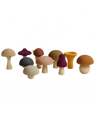 Paddenstoelen set