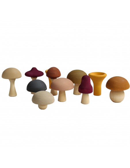 Paddenstoelen set
